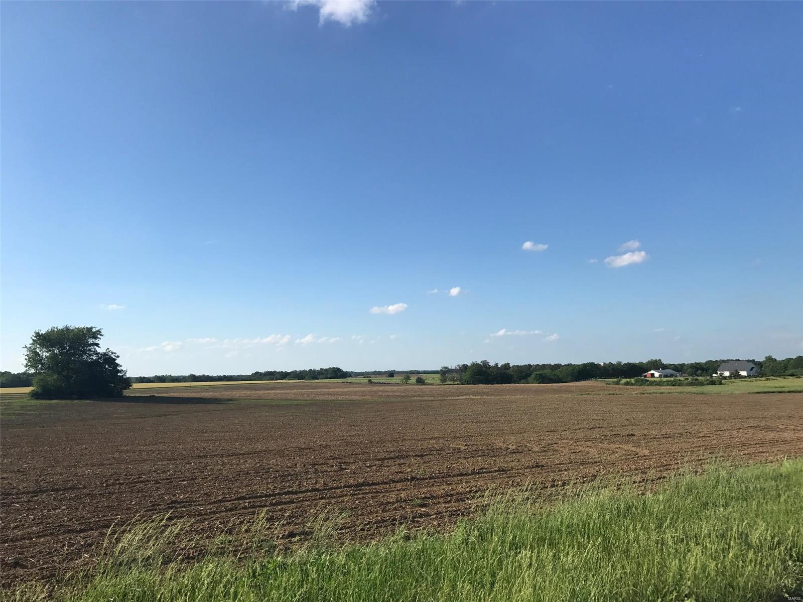 5935 Crowe Farm Road Waterloo, IL 62298 - Photo 7 of 50