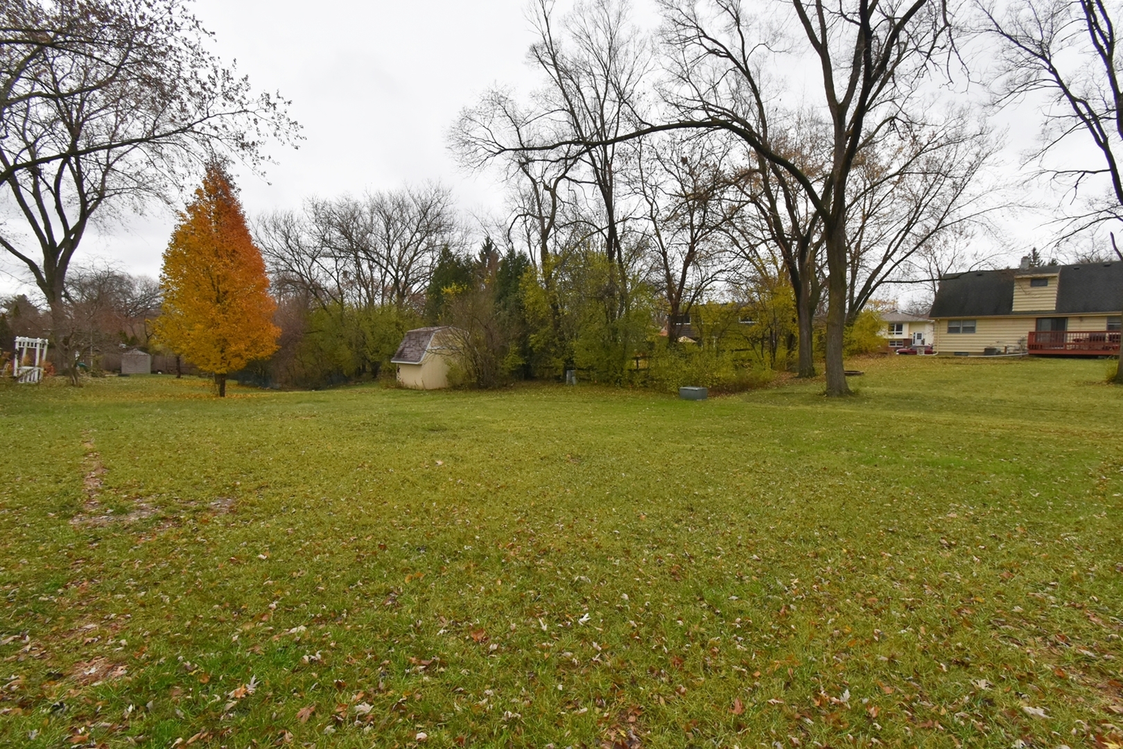 1191 Meadow Lane Elgin, IL 60123 - Photo 31 of 35 a view of yard with tree in the background