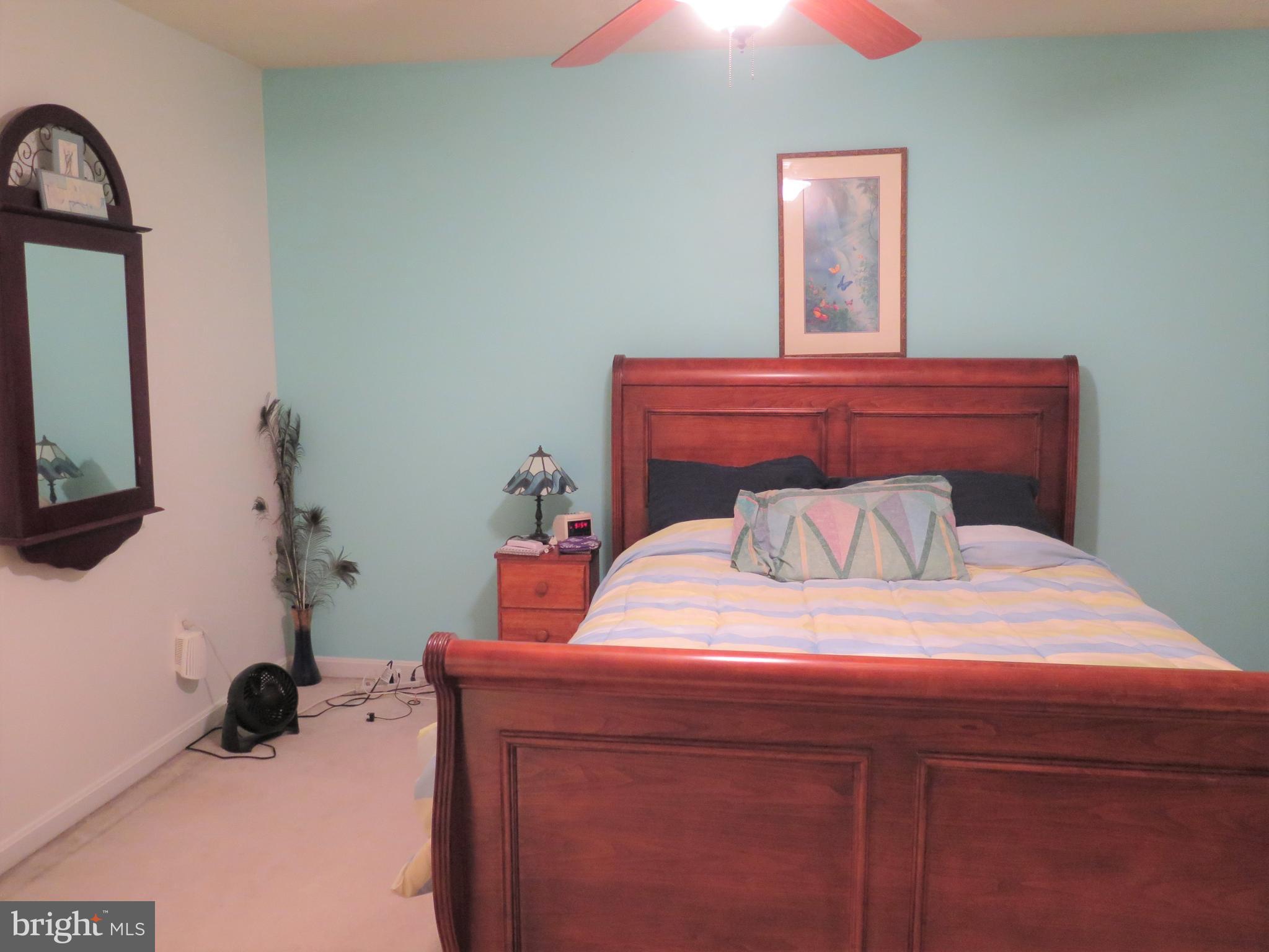 324 Buttonwoods Road Elkton, MD 21921 - Photo 19 of 45 Master Bedroom