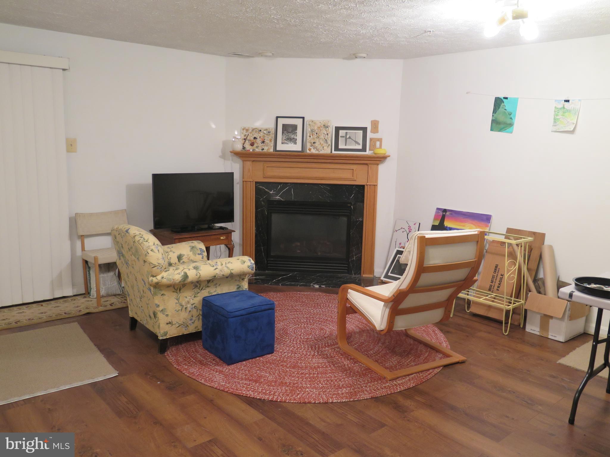 324 Buttonwoods Road Elkton, MD 21921 - Photo 33 of 45 Lower Level with Gas Fireplace