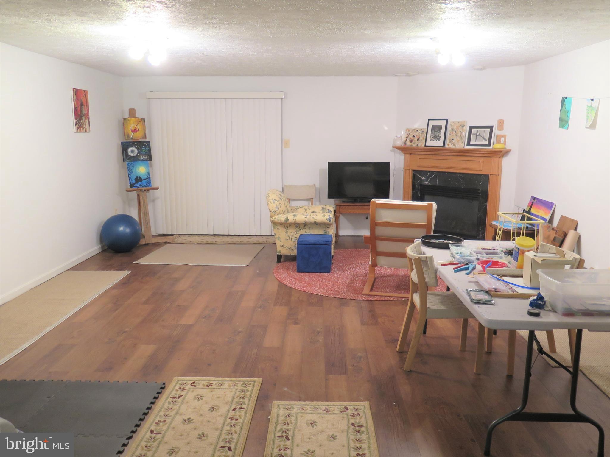 324 Buttonwoods Road Elkton, MD 21921 - Photo 34 of 45 Lower Level with Gas Fireplace and Walk-out