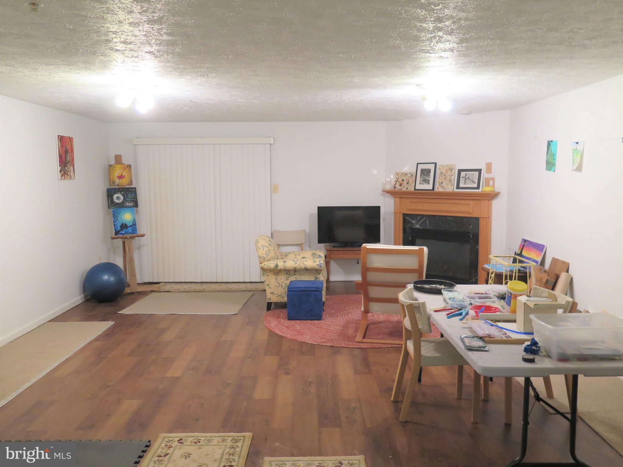 324 Buttonwoods Road Elkton, MD 21921 - Photo 35 of 45 Lower Level with gas fireplace and walk-out