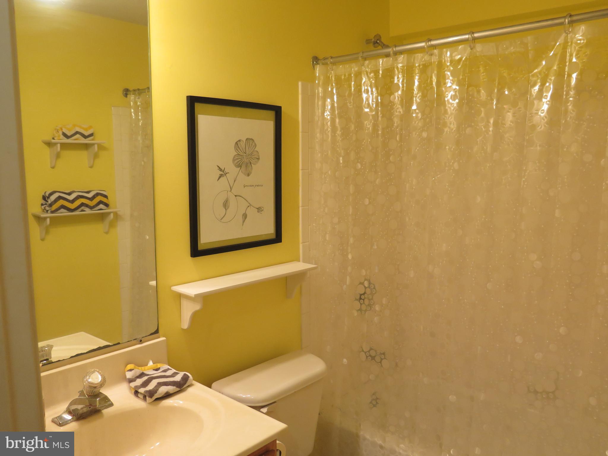 324 Buttonwoods Road Elkton, MD 21921 - Photo 37 of 45 Lower Level Full Bath