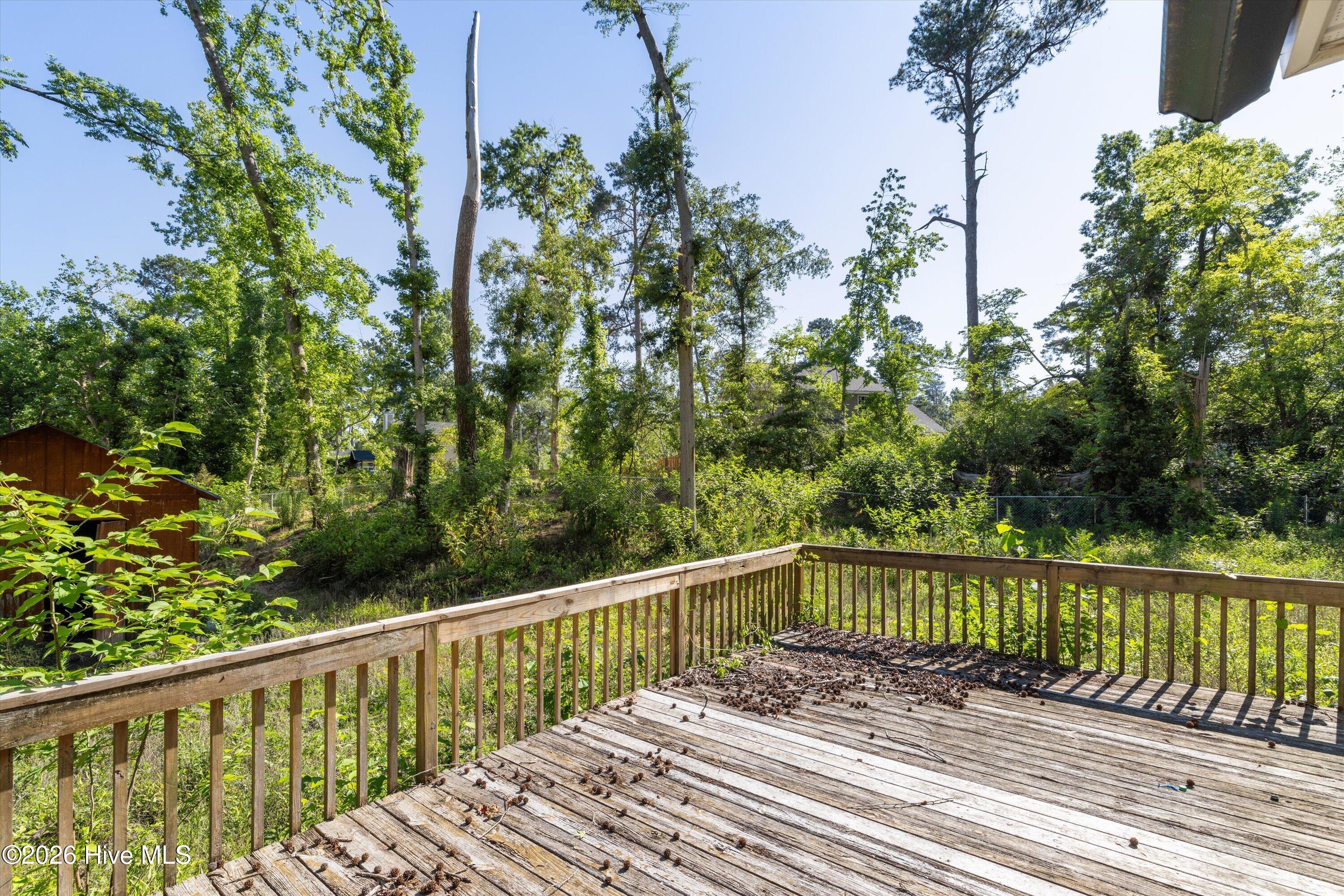 3769 Silver Mine Road Martinez, GA 30907 - Photo 47 of 55