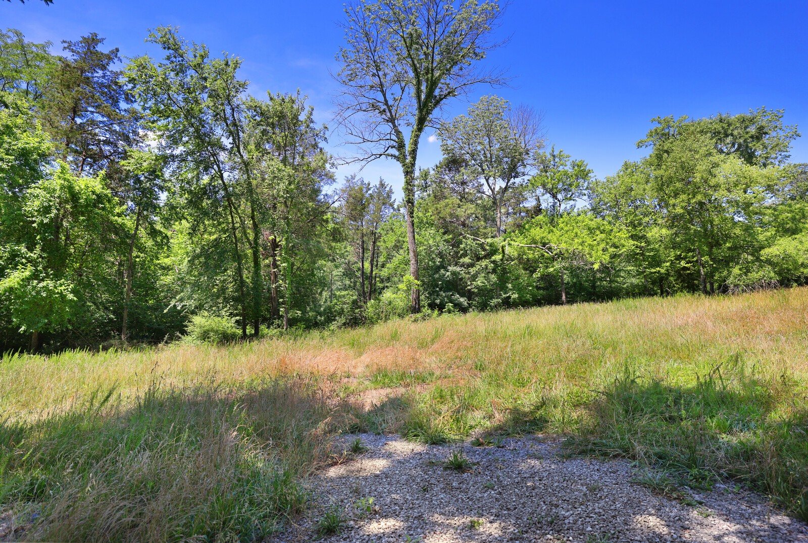 0 Wallace Road Gallatin, TN 37066 - Photo 9 of 23