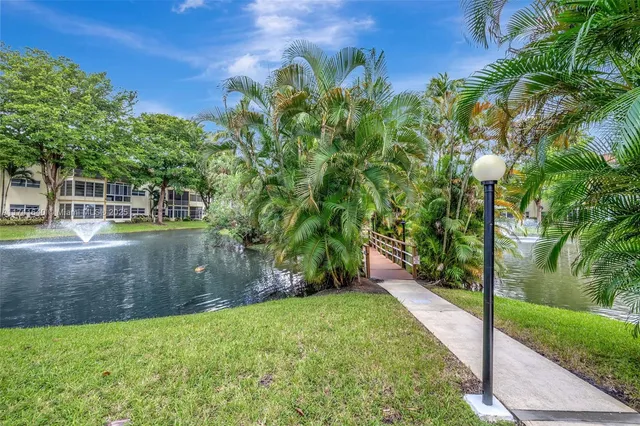 a view of a yard with plants and trees