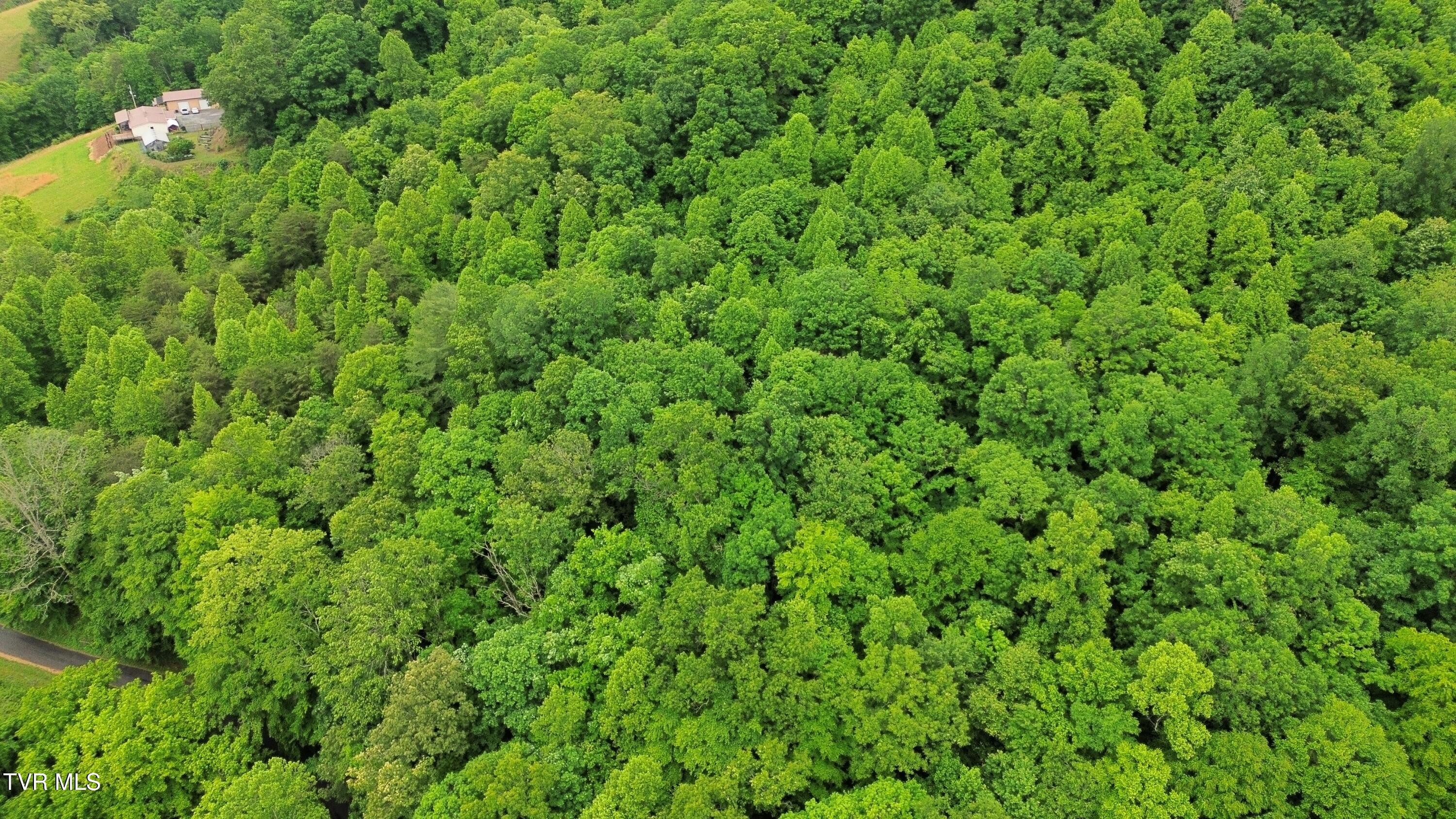 Tbd Boozy Creek Road Bristol, VA 24202 - Photo 3 of 33 dji_fly_20260319_215132_906_178039928184