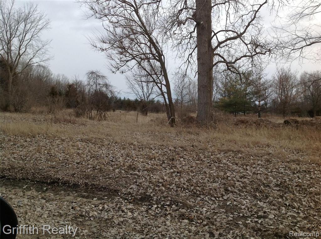 Vl Mason Road Howell, MI 48843 - Photo 4 of 5