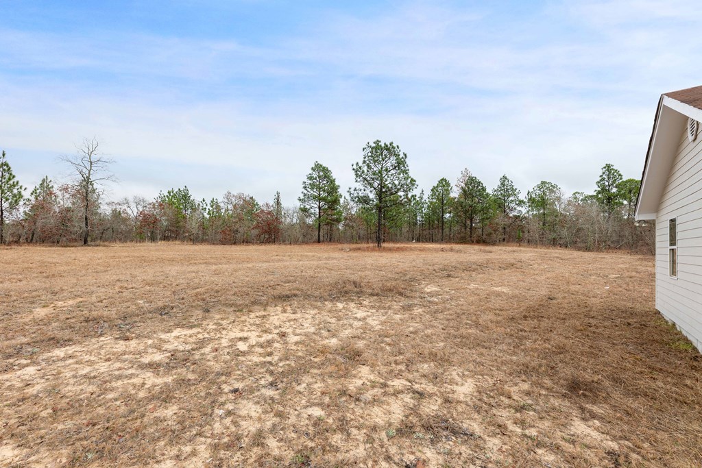 322 Moores Chapel Road Mauk, GA 31058 - Photo 30 of 34 a view of a field with trees in background