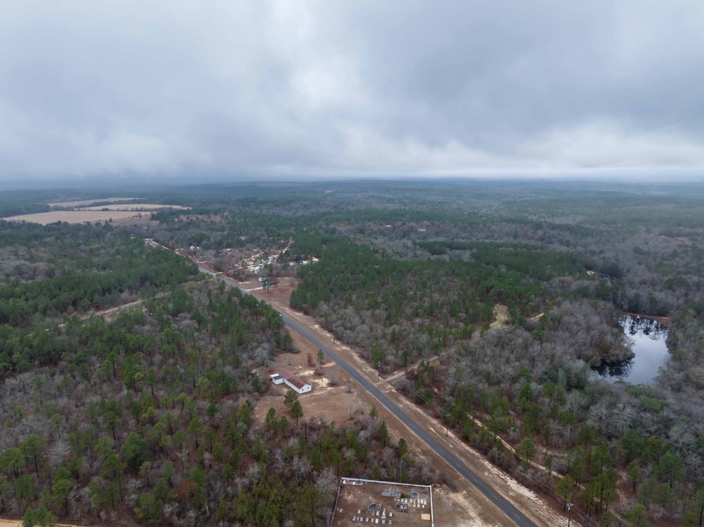322 Moores Chapel Road Mauk, GA 31058 - Photo 33 of 34 a view of a city street from a yard