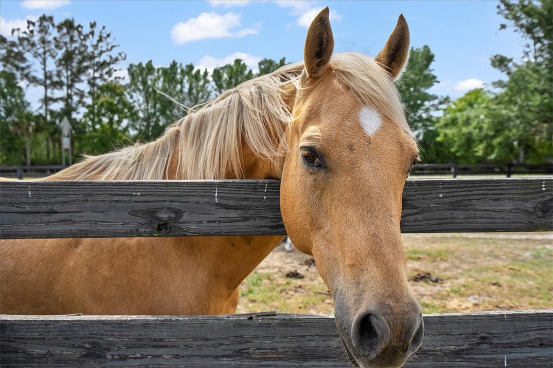 1330 Sr 110 Highway East Waynesville, GA 31566 - Photo 90 of 100