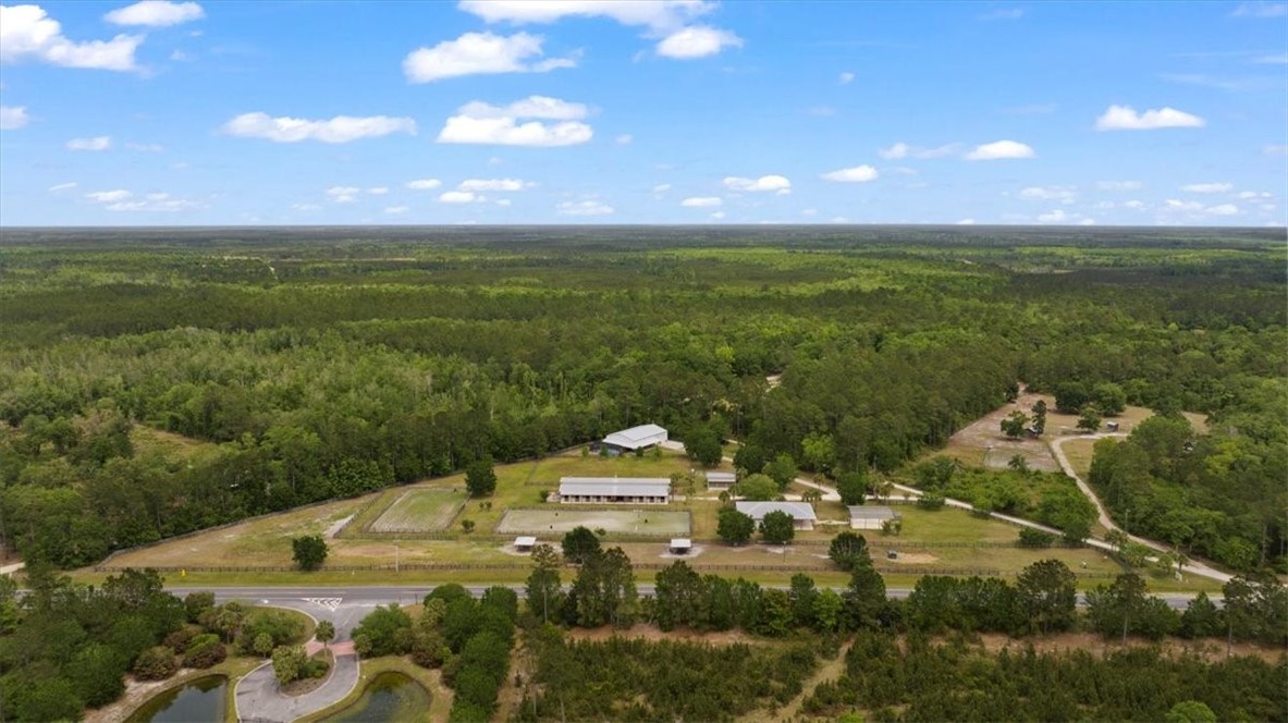 1330 Sr 110 Highway East Waynesville, GA 31566 - Photo 96 of 100