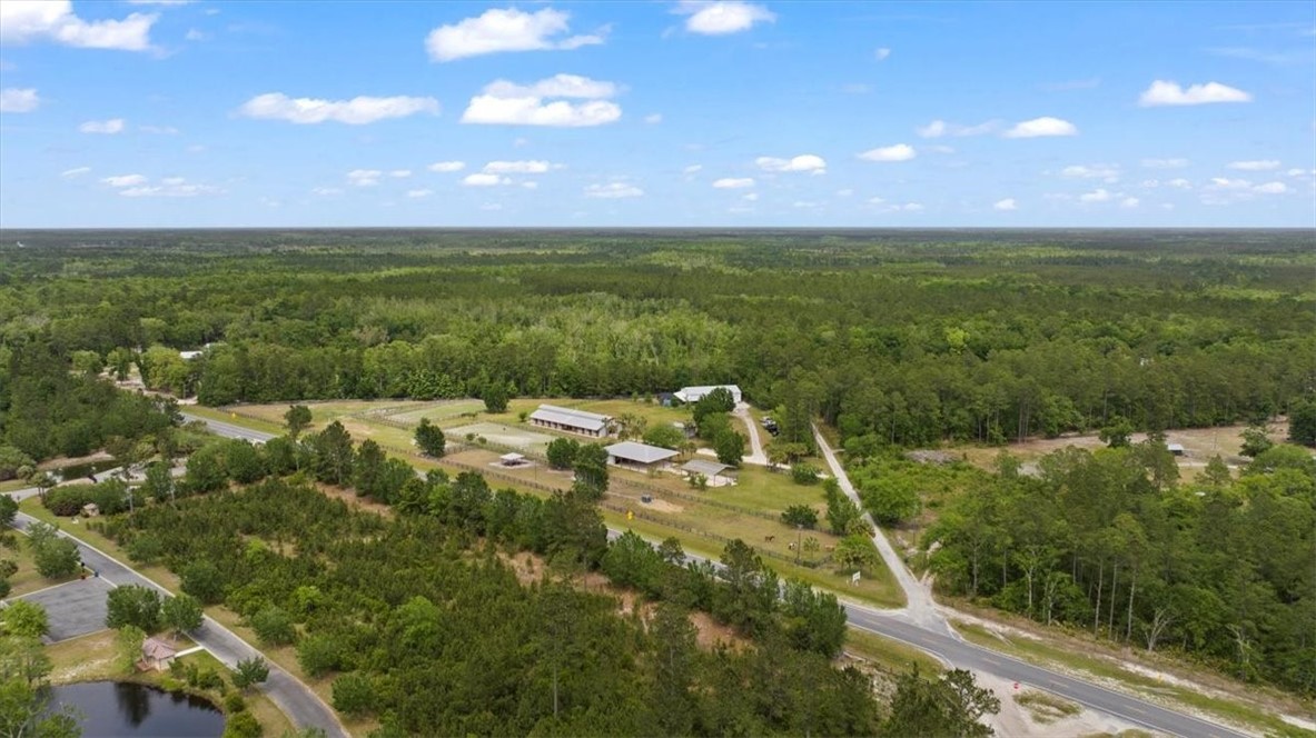 1330 Sr 110 Highway East Waynesville, GA 31566 - Photo 99 of 100