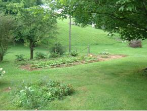 205 Highway 93 Fall Branch, TN 37656 - Photo 9 of 9 Photo 9