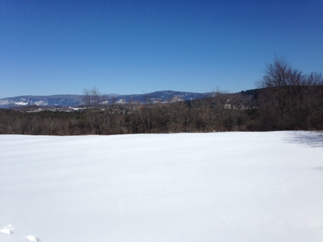 600 Sheep Farm Road Weybridge, VT 05753 - Photo 2 of 6