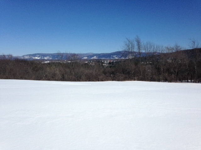 600 Sheep Farm Road Weybridge, VT 05753 - Photo 3 of 6