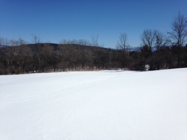 600 Sheep Farm Road Weybridge, VT 05753 - Photo 4 of 6