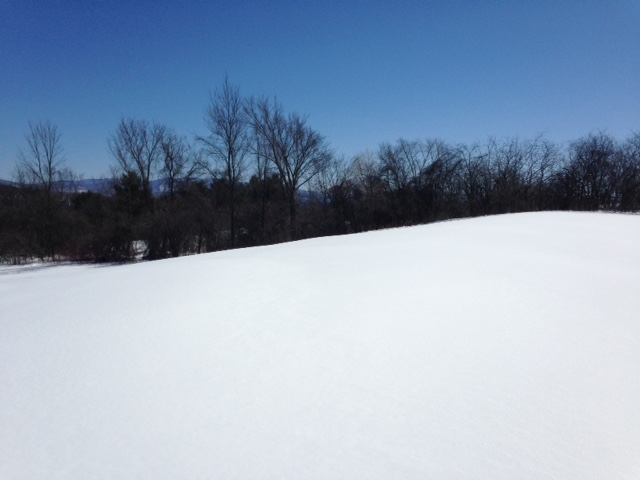 600 Sheep Farm Road Weybridge, VT 05753 - Photo 5 of 6