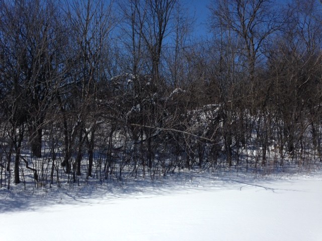 600 Sheep Farm Road Weybridge, VT 05753 - Photo 6 of 6