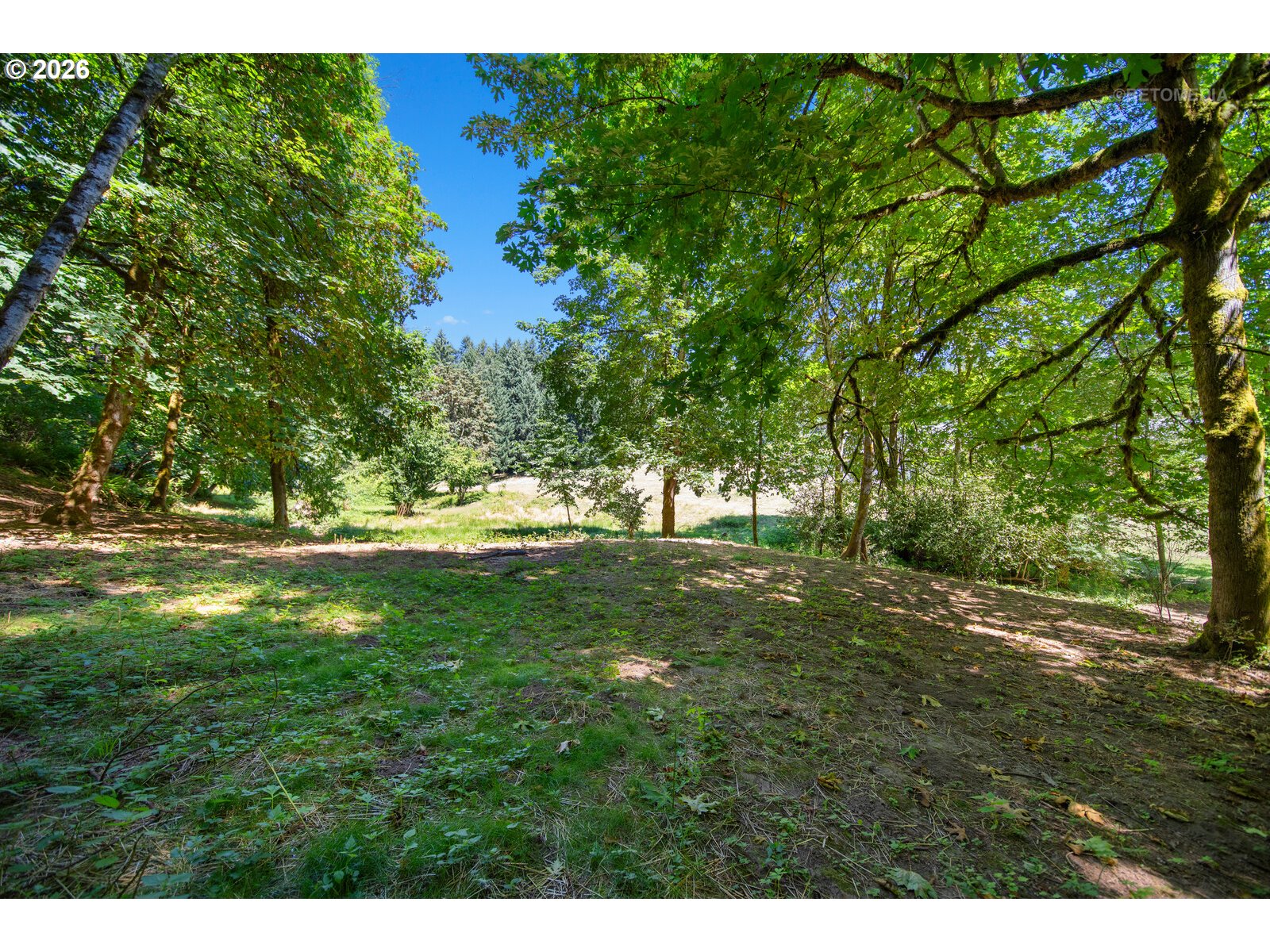 14821 Southwest Bell Road Sherwood, OR 97140 - Photo 40 of 48 Gallery Image 40