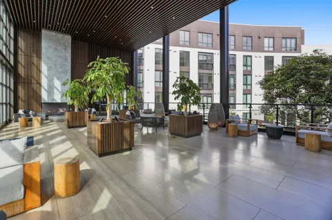 a living room filled with furniture and a potted plant