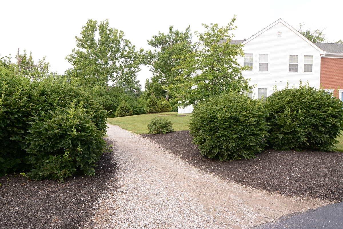 3003 Sunset Drive, Unit F3003 Columbus, OH 43202 - Photo 36 of 43
