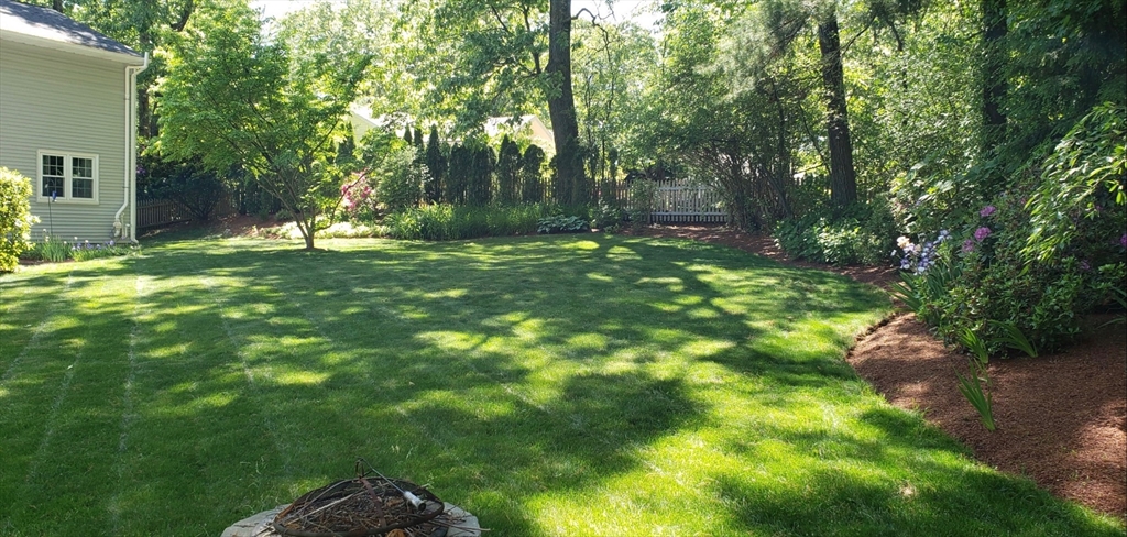21 Potter Road Framingham, MA 01701 - Photo 41 of 42 a view of a tree in a yard