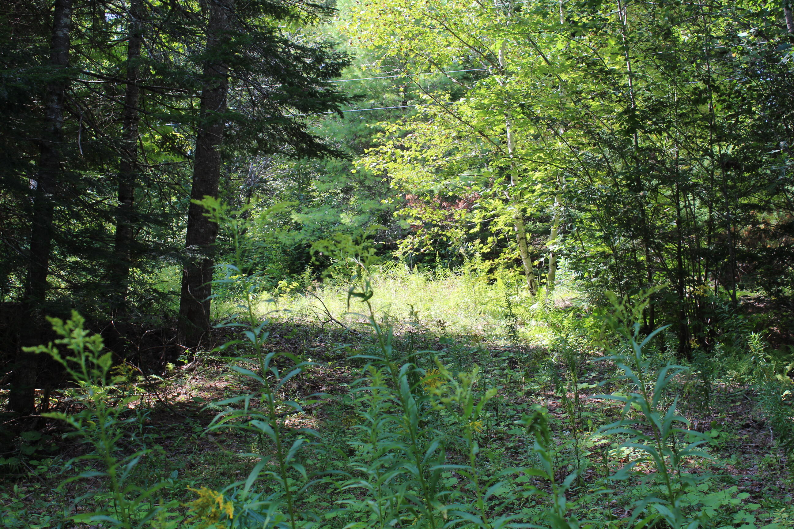 M62-2 Lt 3 M62-2 Road Belfast, ME 04915 - Photo 1 of 15 IMG_1278