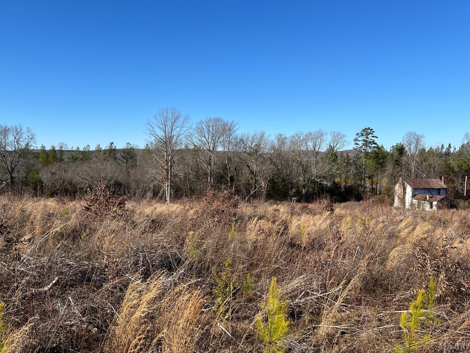 a view of a dry yard with trees