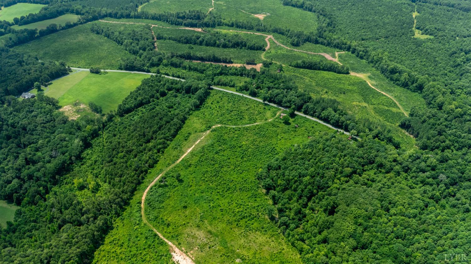 a view of a lush green forest