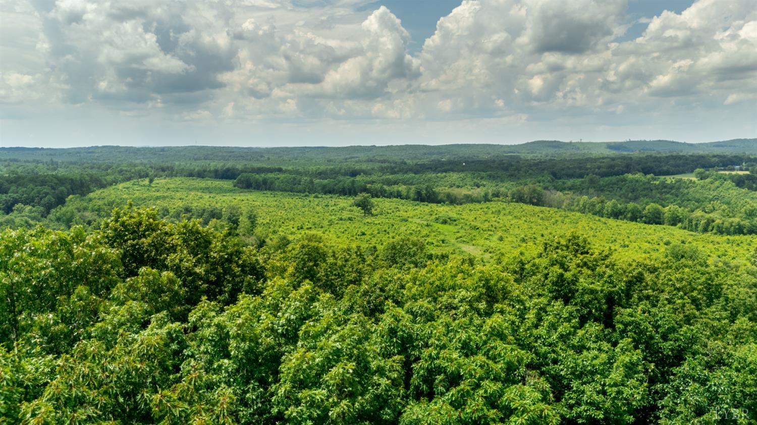 937 White Fall Road Gretna, VA 24557 - Photo 11 of 19 a view of a green field with lots of bushes
