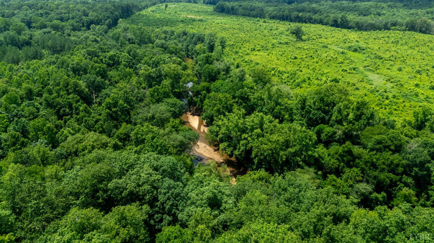 937 White Fall Road Gretna, VA 24557 - Photo 12 of 19 a view of a lush green forest