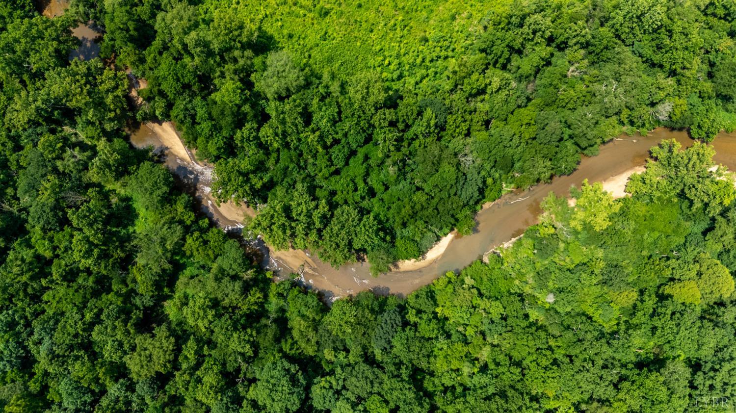 937 White Fall Road Gretna, VA 24557 - Photo 13 of 19 a view of a plant in a garden