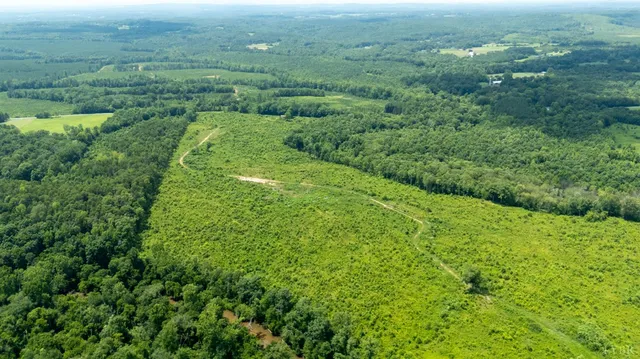 an aerial view of residential houses with outdoor space and trees