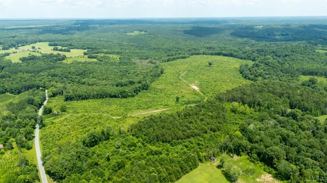 a view of a big yard with large trees