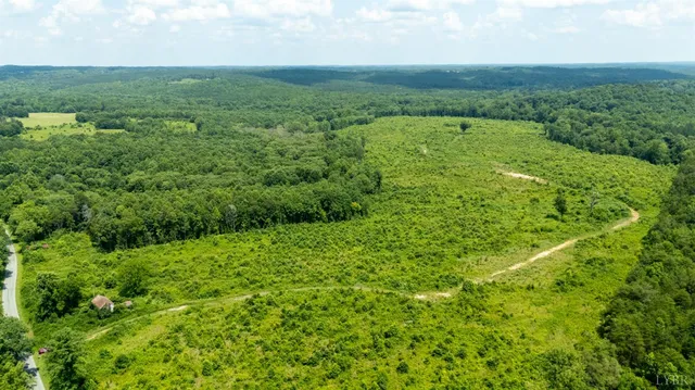 view of a green field with lots of bushes