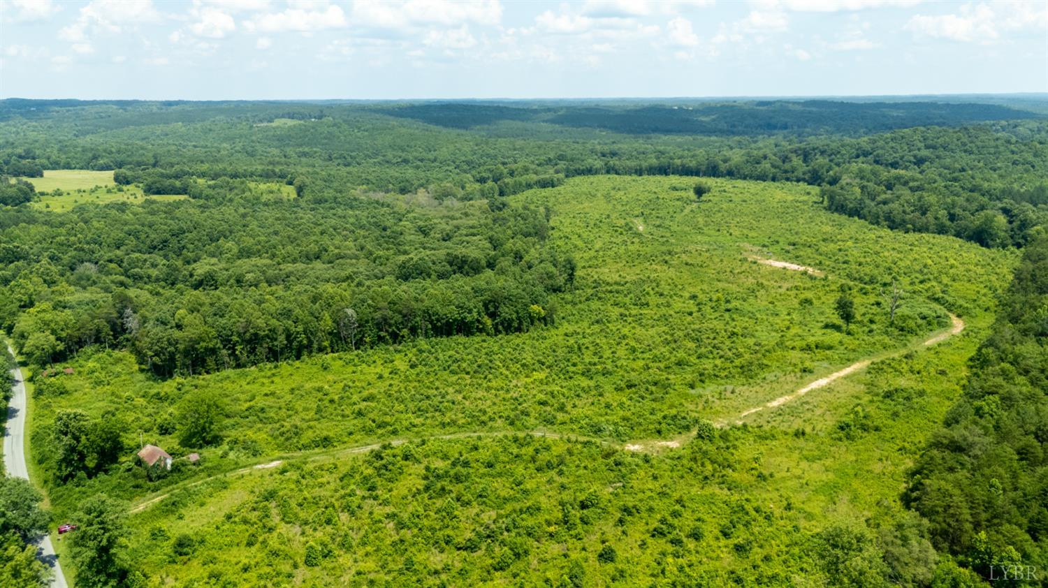 937 White Fall Road Gretna, VA 24557 - Photo 17 of 19 view of a green field with lots of bushes