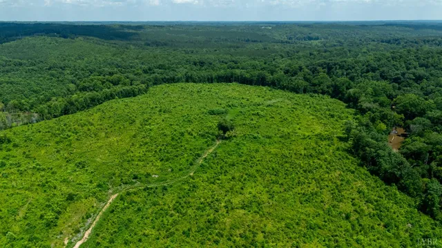 a view of a big yard with lots of green space and deers