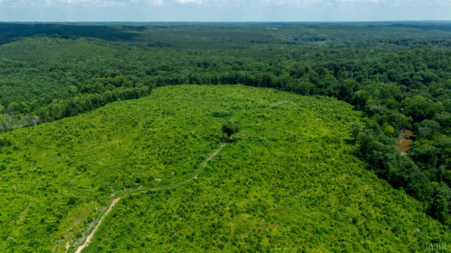 937 White Fall Road Gretna, VA 24557 - Photo 2 of 19 a view of a big yard with lots of green space and deers