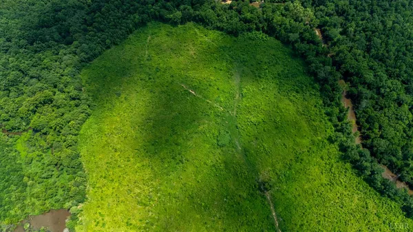 a view of a lush green space
