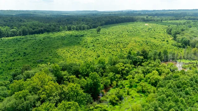 a view of a lush green forest with trees and some houses