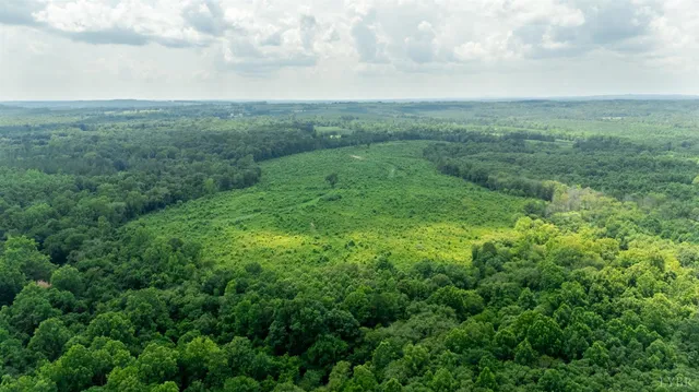 a view of a big yard with lots of green space