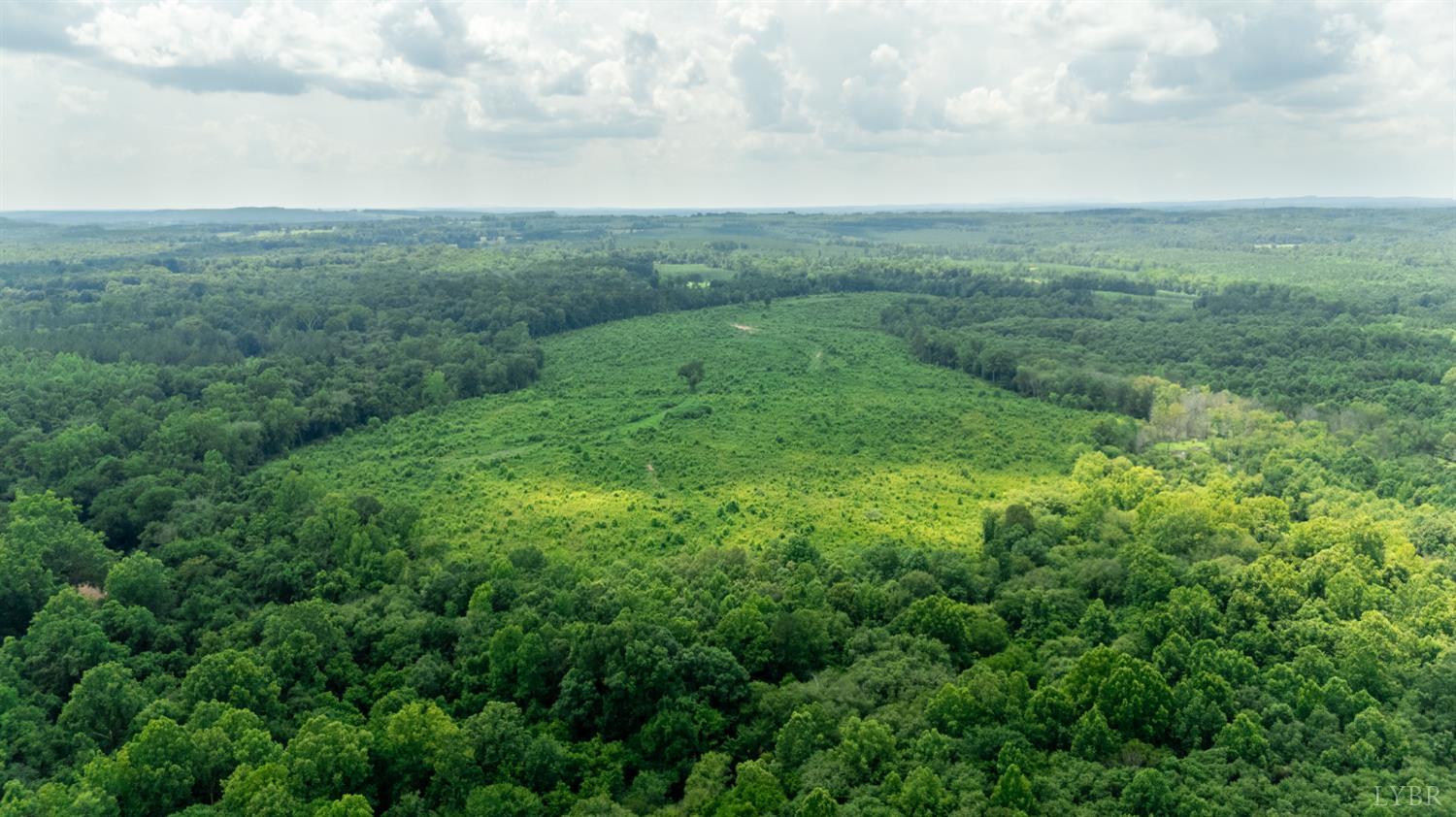 937 White Fall Road Gretna, VA 24557 - Photo 7 of 19 a view of a big yard with lots of green space