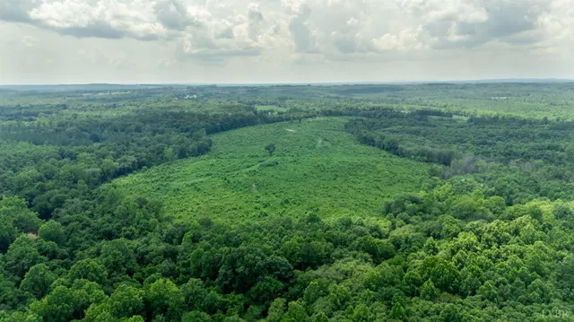 a view of a field of grass and trees
