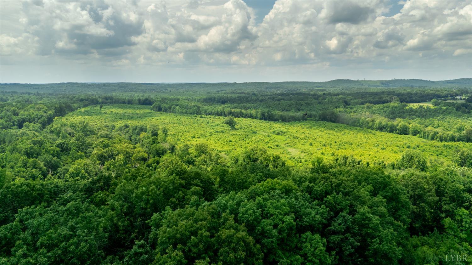 937 White Fall Road Gretna, VA 24557 - Photo 9 of 19 a view of a big yard with plants and large trees
