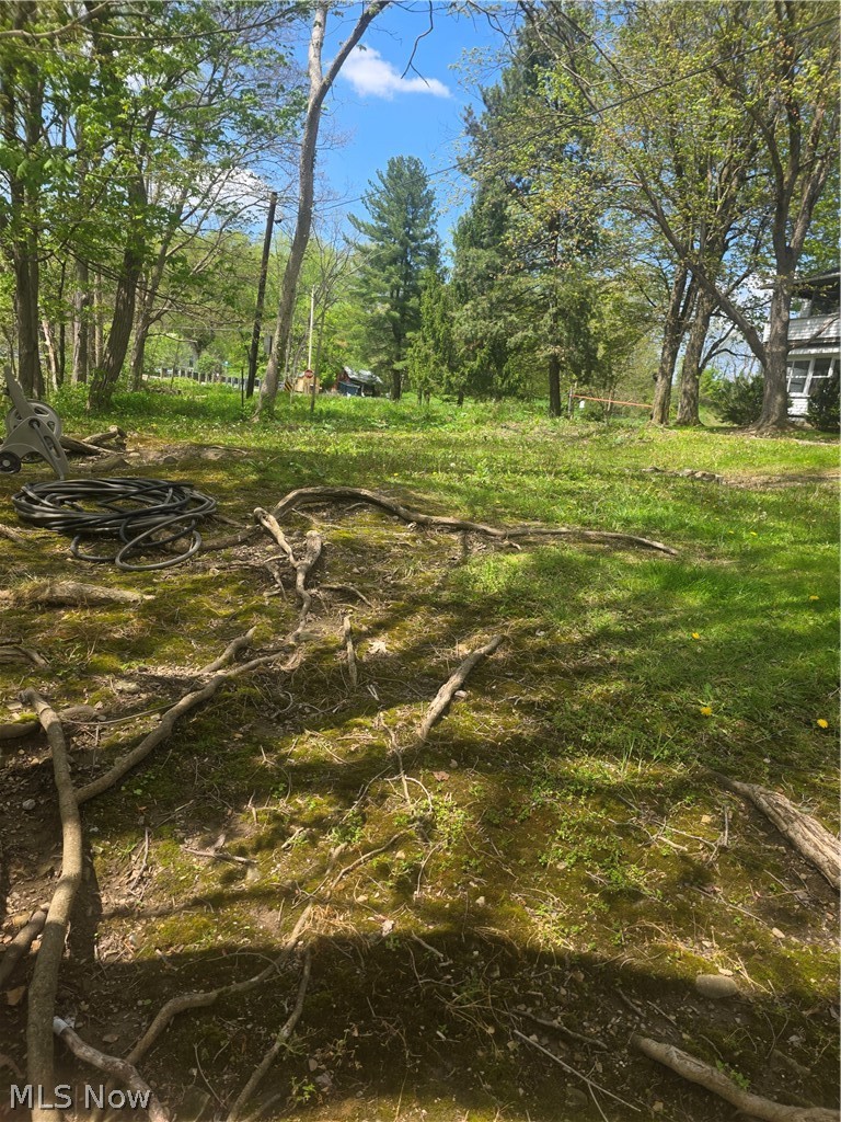 Swine Creek Road Middlefield, OH 44062 - Photo 11 of 20