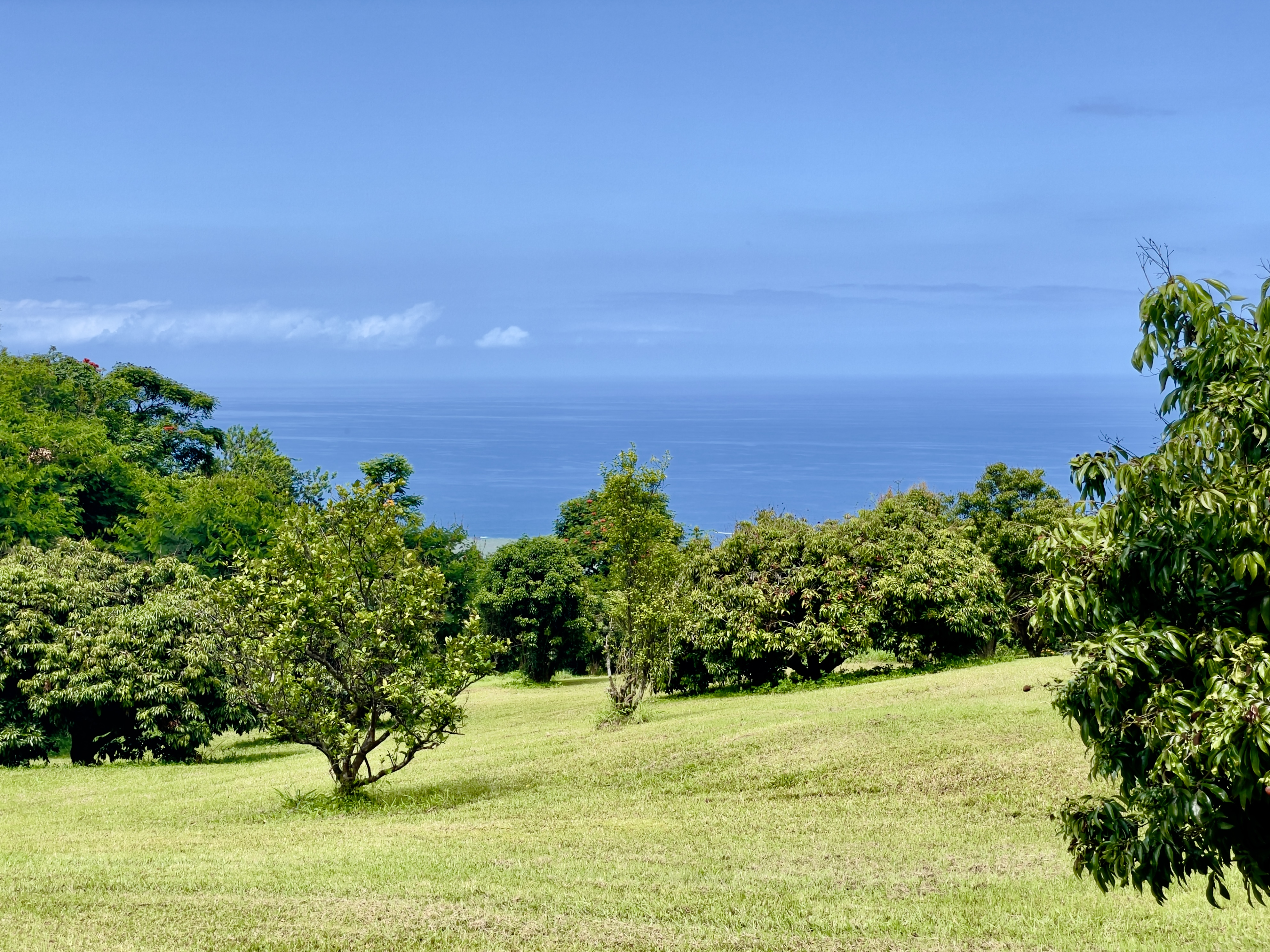 84-539 Telephone Exchange Road Captain Cook, HI 96704 - Photo 25 of 26