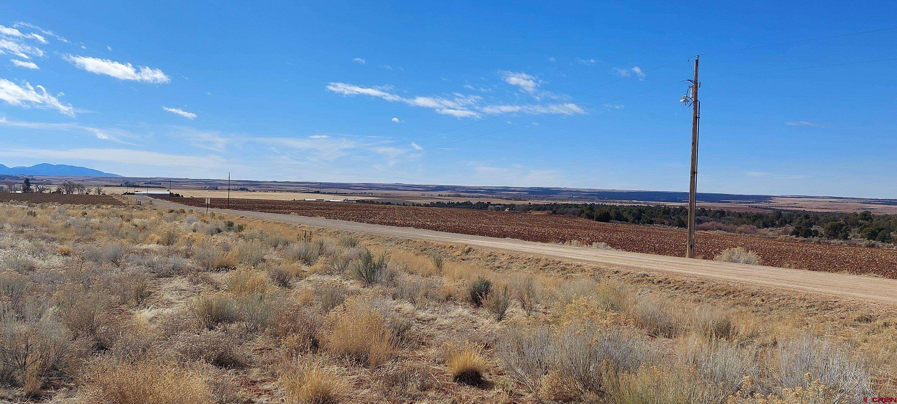 14134 Road N 3 Road Cahone, CO 81320 - Photo 10 of 13