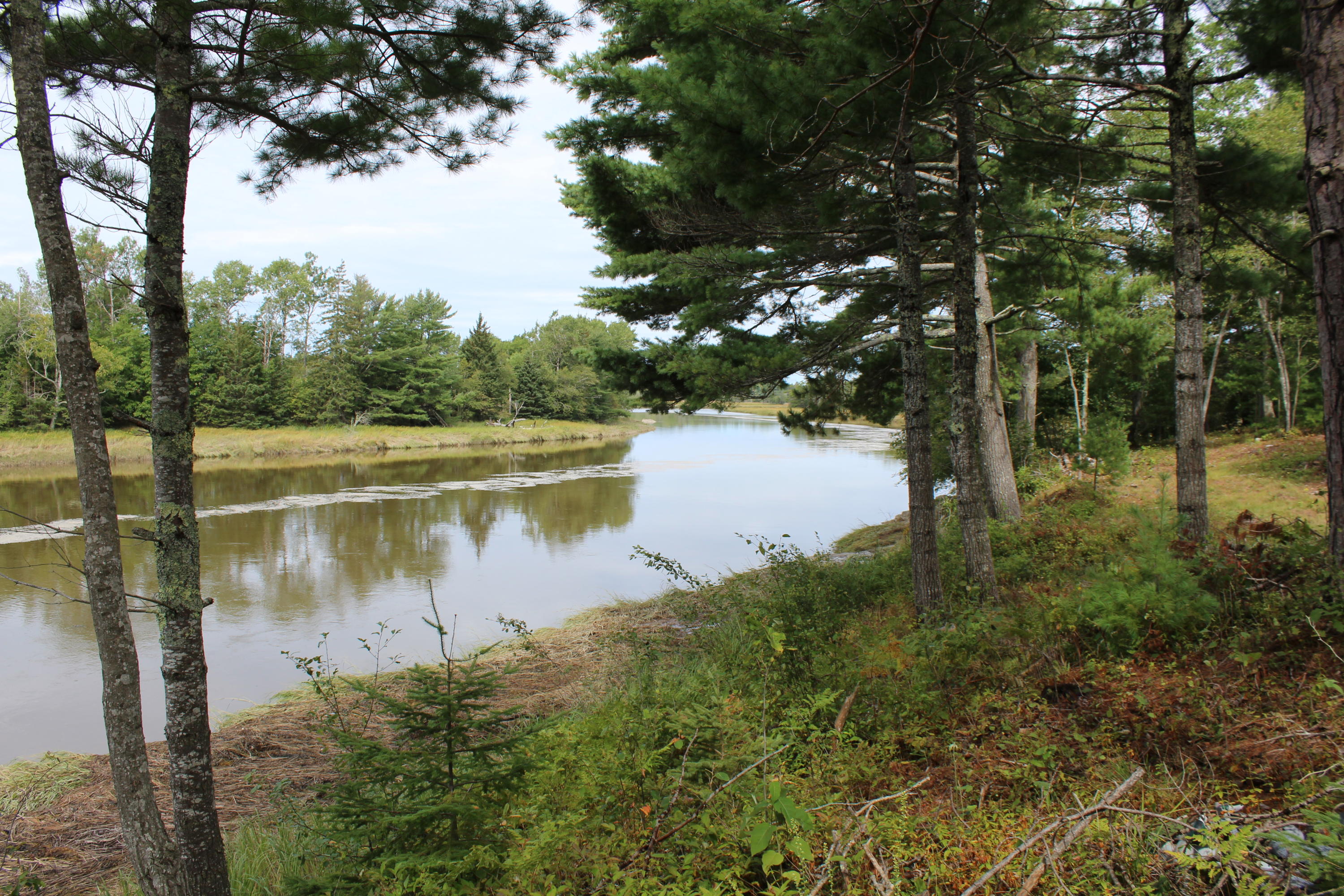 478 Kansas Road Milbridge, ME 04658 - Photo 46 of 58 IMG_5172