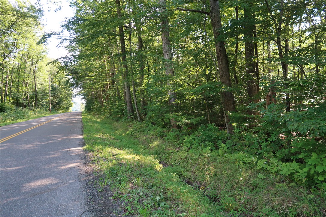 Lot 8 German Road Cincinnatus, NY 13040 - Photo 1 of 1 Gallery Image 1